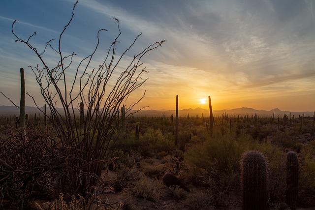 Roof Repair, Tucson