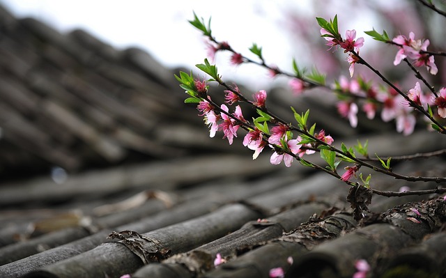 Roofing