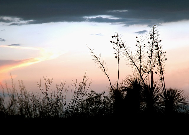 Tucson