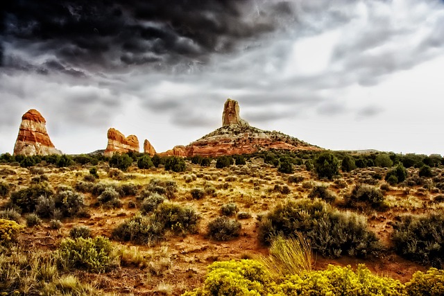 Arizona
