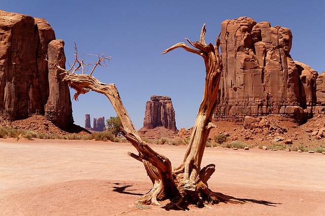 Arizona