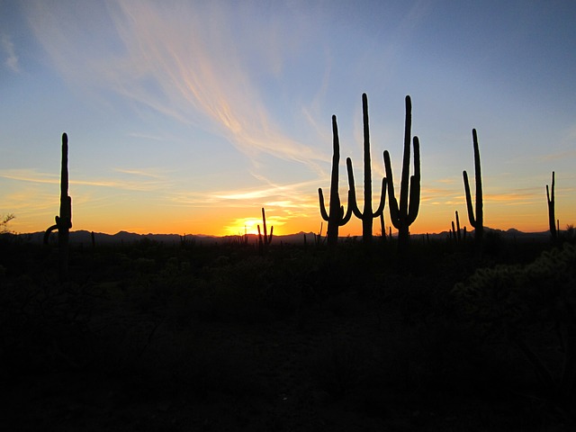 Arizona