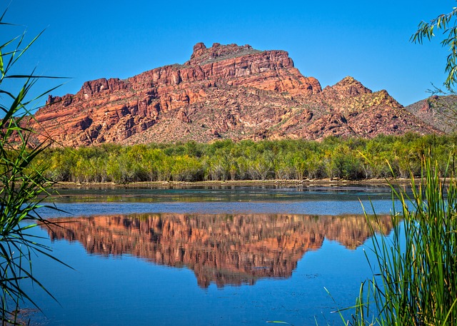 Arizona