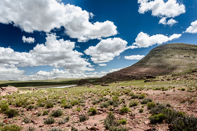 Arizona