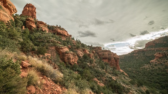 Arizona