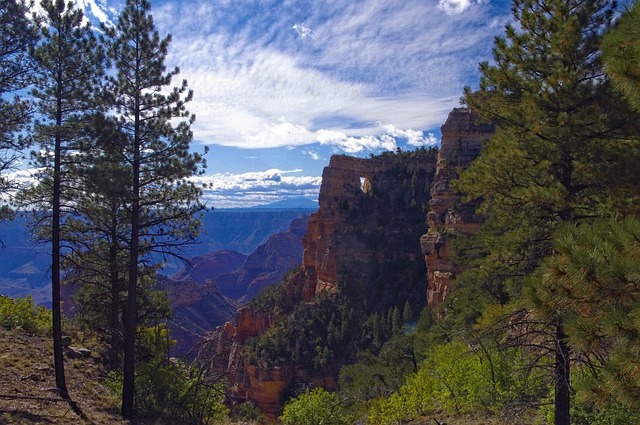 Arizona