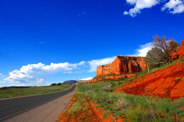 Arizona