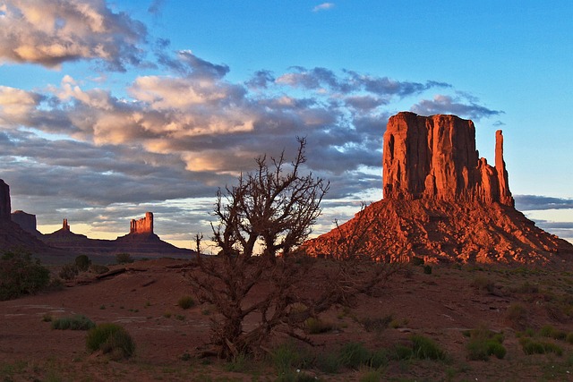 Arizona
