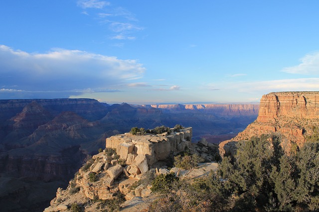 Arizona