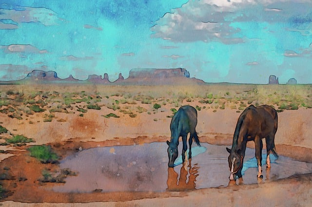 Arizona
