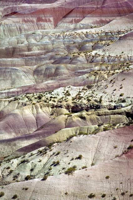 Arizona