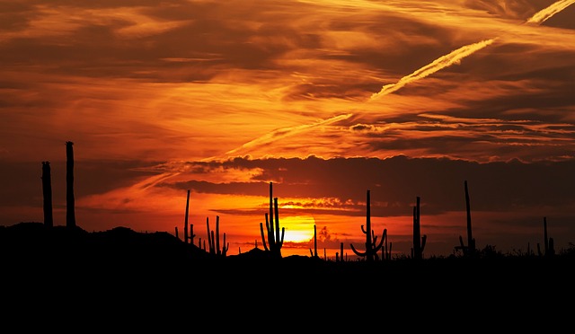 Arizona