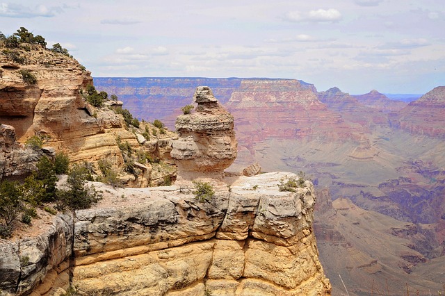 Arizona