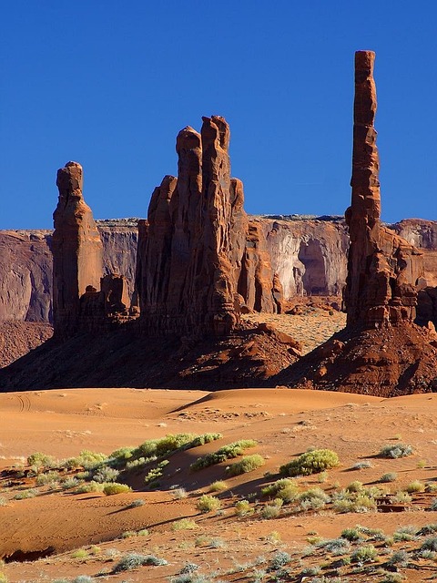 Arizona