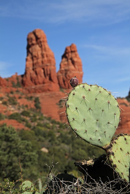 Arizona