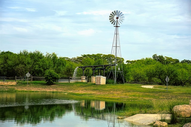 Austin