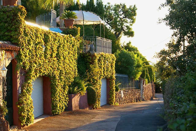 Garage Doors, Tucson