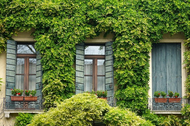 home remodel