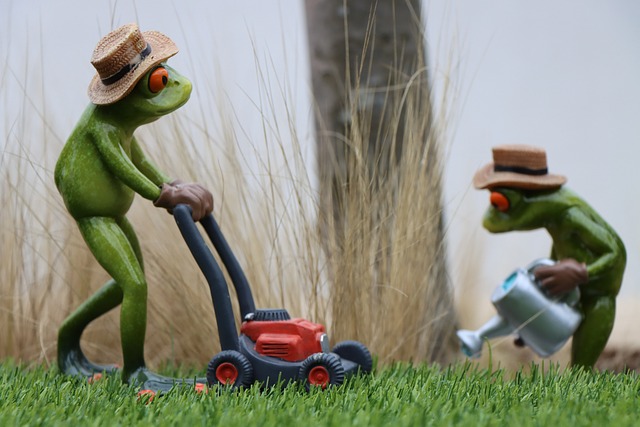 Lawn Care, Landscaping