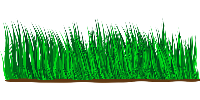 Lawn Care, Landscaping