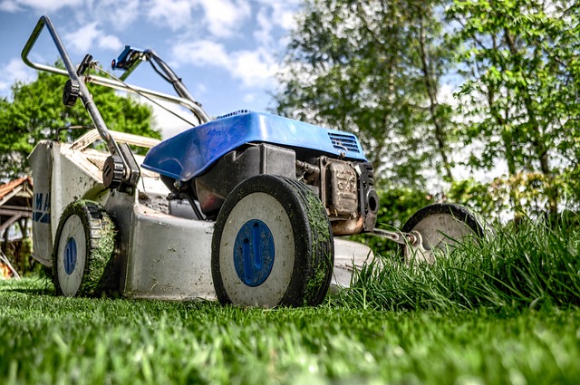 Lawn Care, Landscaping