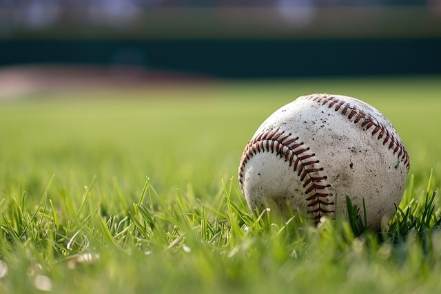Lawn Care, Landscaping