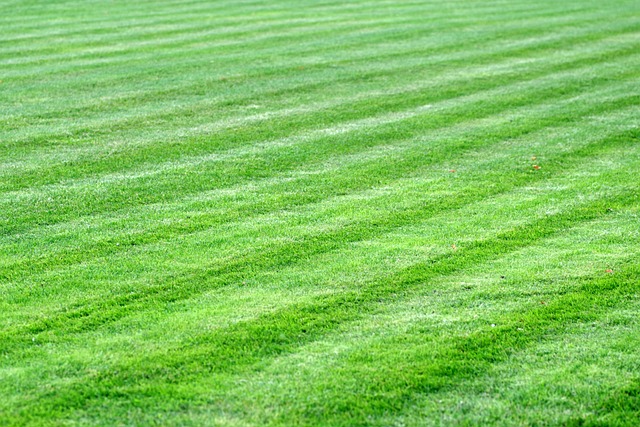 Lawn Care, Landscaping