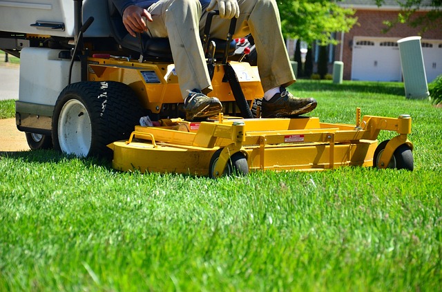 Lawn Care, Landscaping