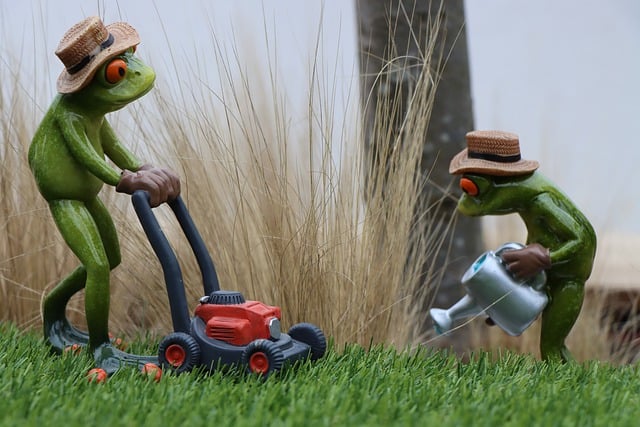 Lawn Care, Landscaping