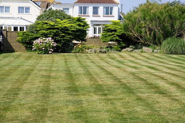 Lawn Care, Landscaping