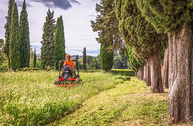 Lawn Care, Landscaping