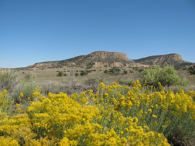 New Mexico