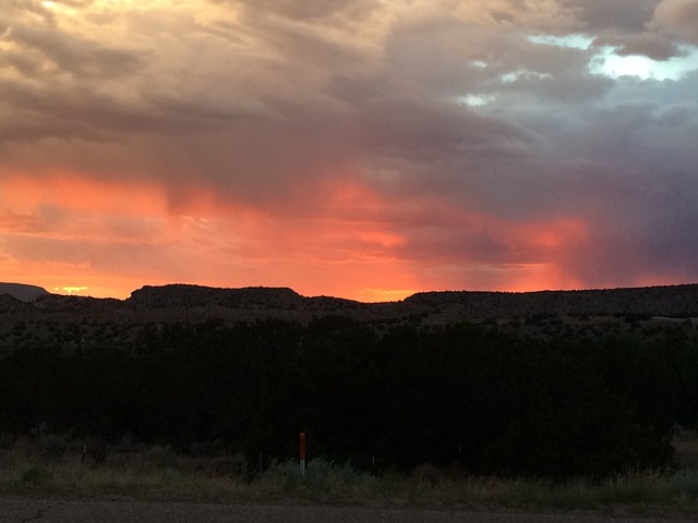 New Mexico
