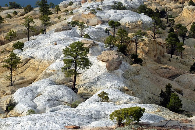 New Mexico
