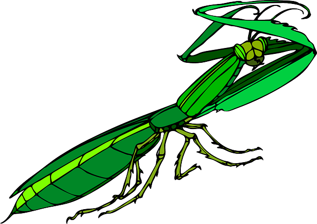 Pest Control, bugs, rodents