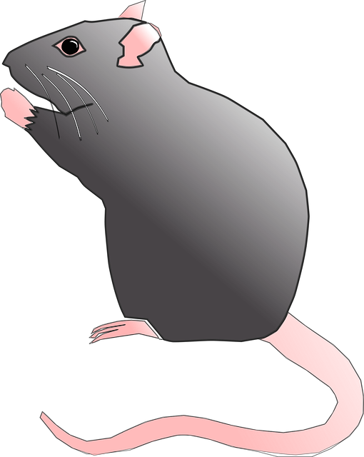 Pest Control, bugs, rodents