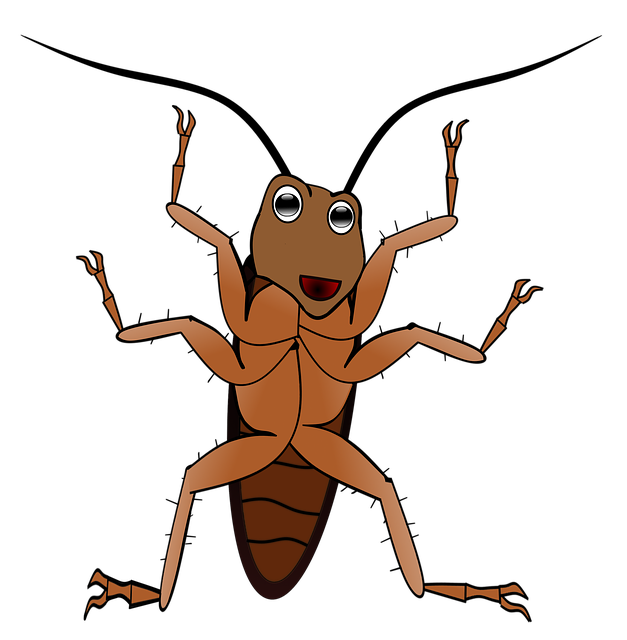 Pest Control, bugs, rodents