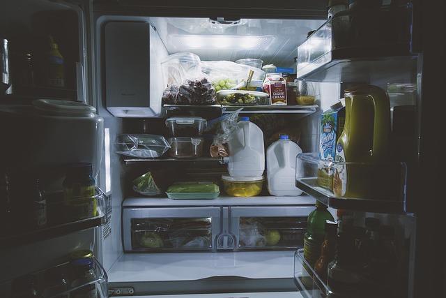 Refrigerator Repair