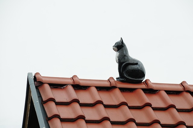 Roof Repair, Tucson