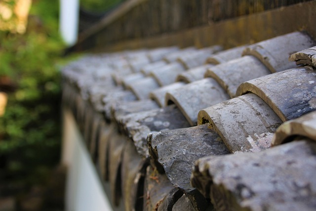 Roofing