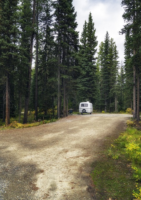 RV, motorhome