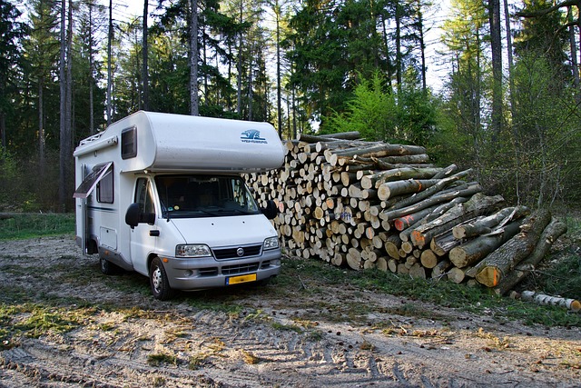 RV, motorhome