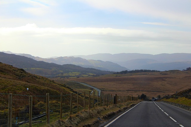 RV, open road