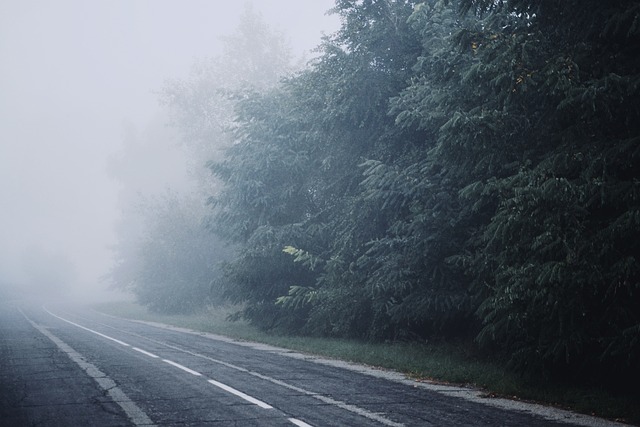 RV, open road