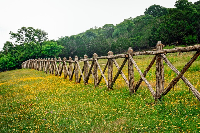 Texas