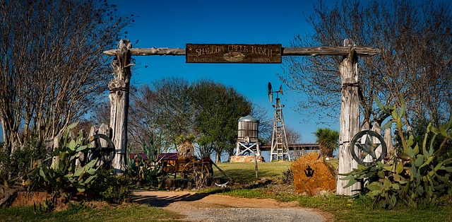 Texas