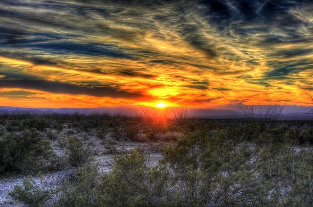 Texas