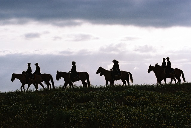 Texas