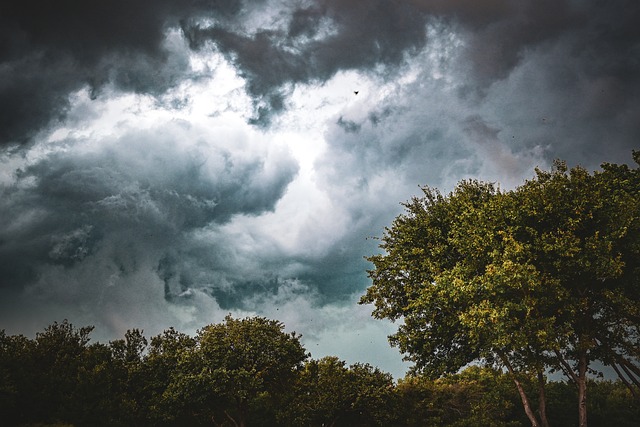 Texas