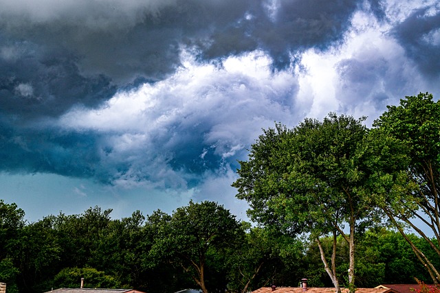 Texas